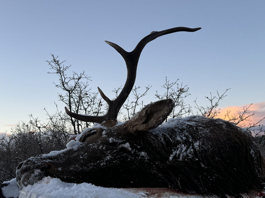 Outdoors: The Pursuit