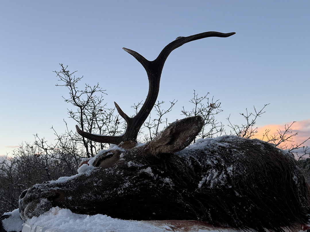 Outdoors: The Pursuit