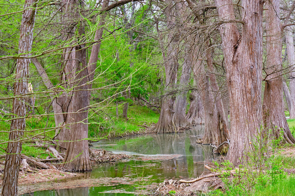 The Perfect Weekend in Boerne, Texas