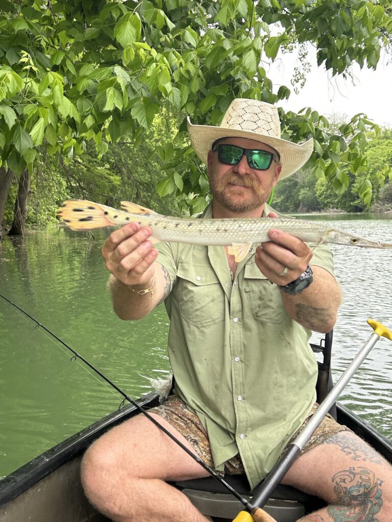 Angler carefully holding a longnose gar beside the water