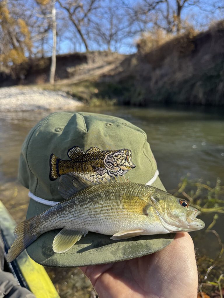 Close view of a bass beside a cap embroidered with a fish