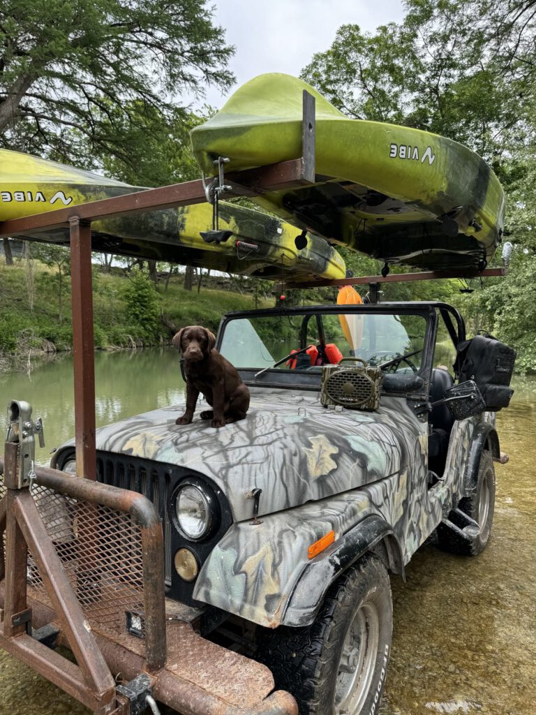 Dog standing on an outfitting vehicle beneath stored fishing kayaks