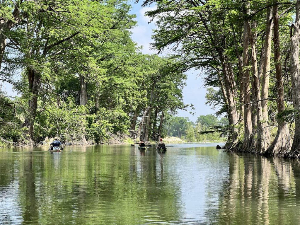 Paddlers moving through a calm cypress-lined Texas Hill Country river