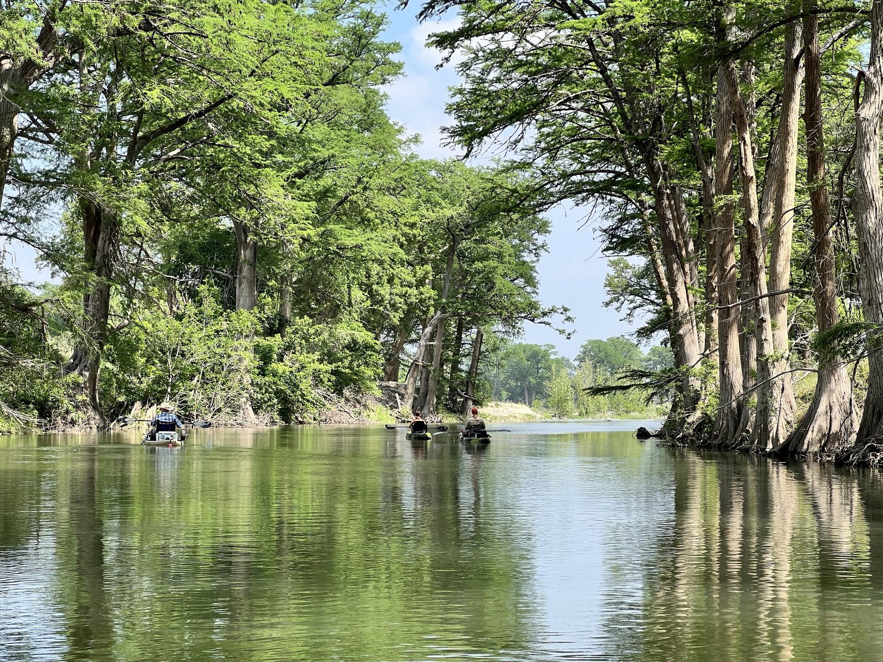 Paddlers moving through a calm cypress-lined Texas Hill Country river