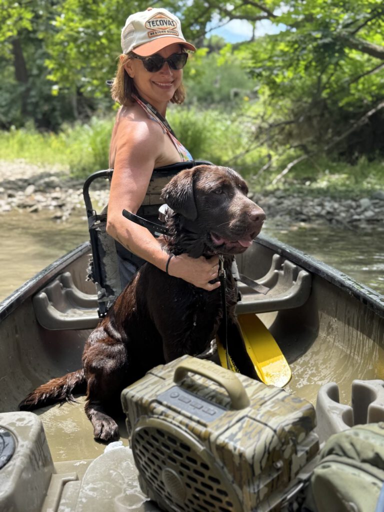 Wet brown dog riding in the bow of a canoe