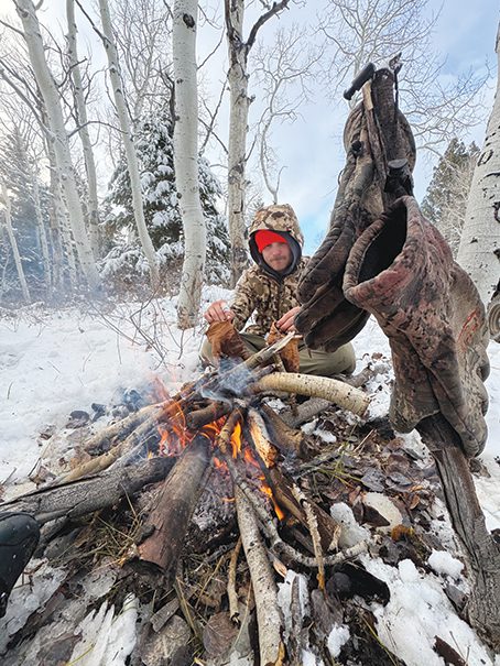 The Call of the Wild